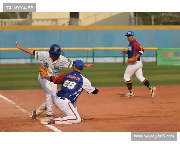 “熊猫杯”慢垒联赛分区赛结束，17支球队晋级总决赛